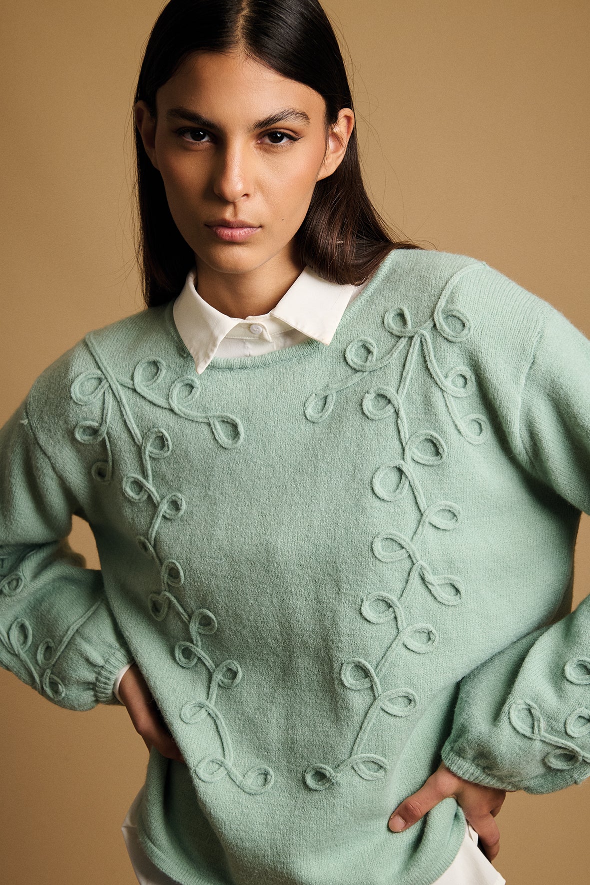 PULL 06BV2229
